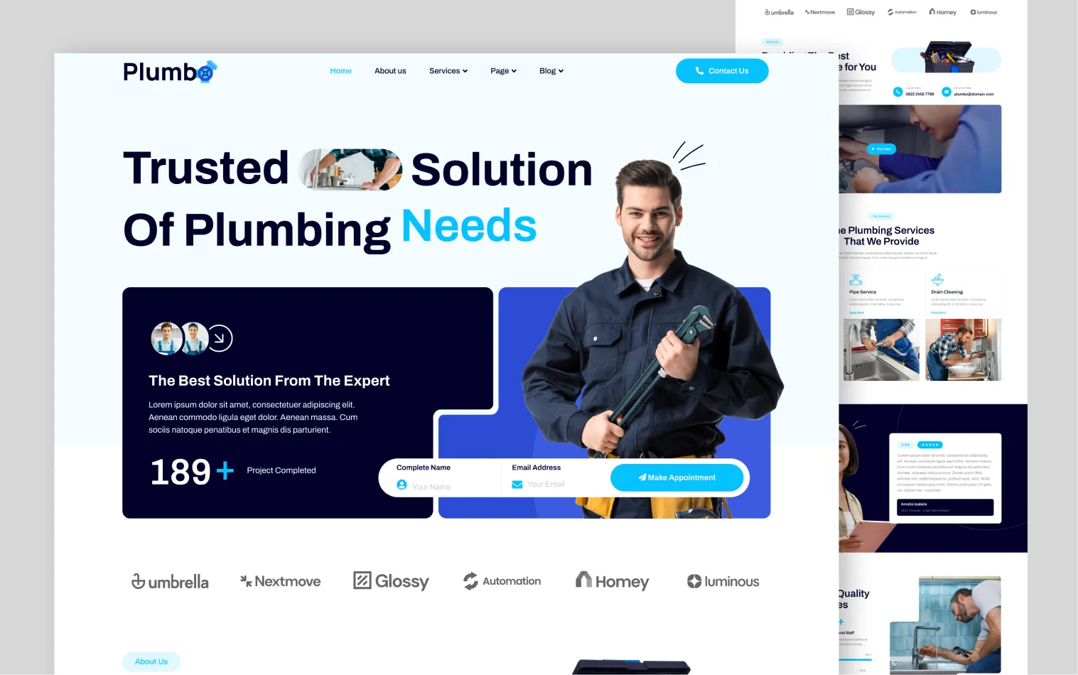 Website Jasa Profesional
